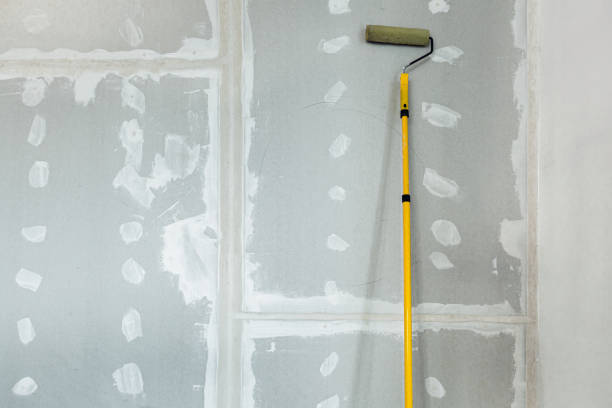 Best Environmental Consulting for Mold Prevention  in Wrightstown, WI