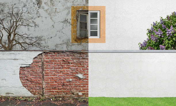 Best Basement Mold Removal  in Wrightstown, WI